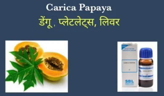 केरिका पपाया carica papaya होम्योपैथिक दवा और उसके फ़ायदे